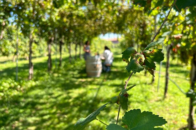 2 Guests Private Prosecco Road Tour All Inclusive from Venice - Getting Oriented in Venice: Piazzale Roma as Your Launch Point