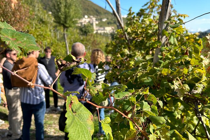 2 Guests Private Prosecco Road Tour All Inclusive from Venice - Wine Buying and Shipping: Practical Help for Bottles Back Home