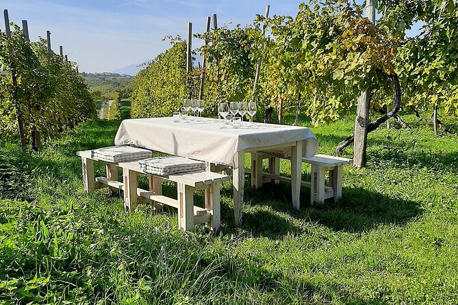2 Guests Private Prosecco Road Tour All Inclusive from Venice - Stop 1: Conegliano Castle Views and Step-by-Step Cellar Tasting