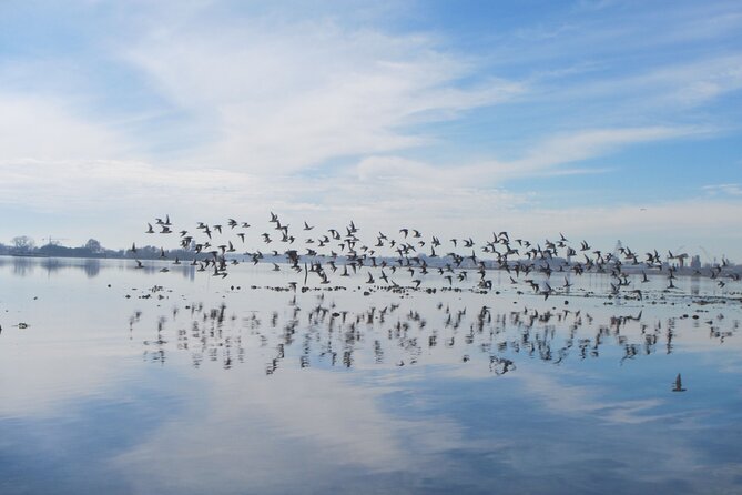 2 Hour Night Kayak Tour in Venice, premium experience with sunset - Why a sunset kayak changes the whole Venice night