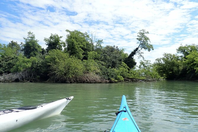 2 Hour Night Kayak Tour in Venice, premium experience with sunset - Who this sunset kayak is best for
