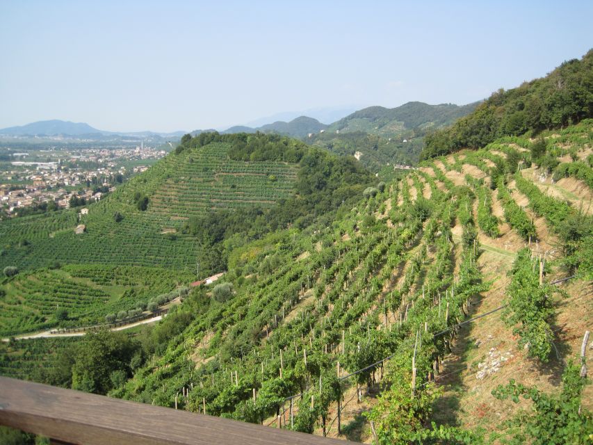 8-Hour Prosecco Wine and Tastings Tour from Venice or Padua - What Makes This Prosecco Day Trip Worth It