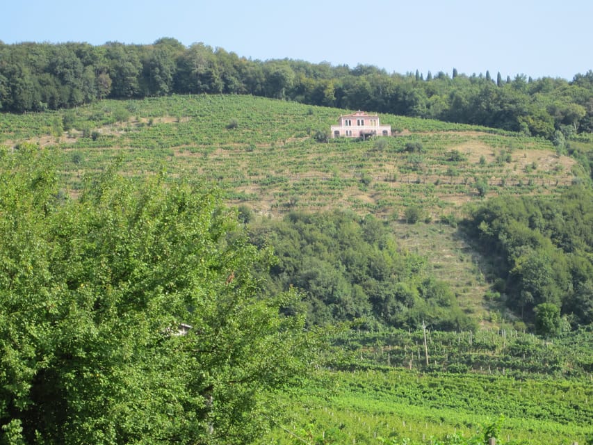 8-Hour Prosecco Wine and Tastings Tour from Venice or Padua - Lunch in a Frasche Trattoria, Where the Owner’s Prosecco Fits In