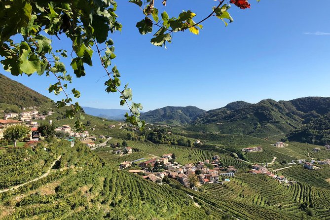 A Sparkling Day in the Prosecco Hills from Venice - Why this Prosecco day feels better than a basic wine stop