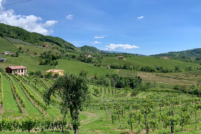 A Sparkling Day in the Prosecco Hills from Venice - Prosecco Hills viewpoint: World Heritage photos and a possible castle stop