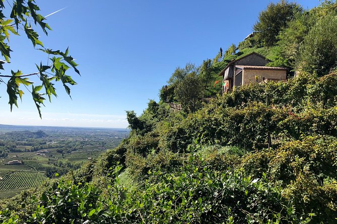 A Sparkling Day in the Prosecco Hills from Venice - Conegliano second winery and DOCG Prosecco with ancient vines