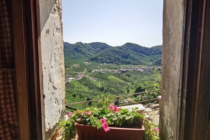 Adventure in the Prosecco Hills by Yellowboot - Why this Prosecco Hills tour feels like a real experience, not just wine stops