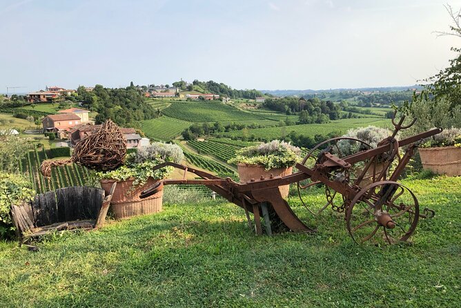 Adventure in the Prosecco Hills by Yellowboot - Lunch, pace, and how to plan your stomach for 8 tastings