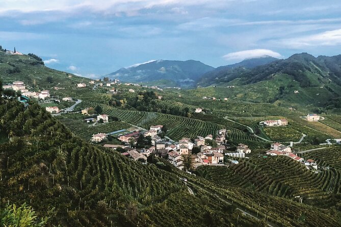 Adventure in the Prosecco Hills by Yellowboot - Second DOCG winery in Conegliano, more personal owners and another 4-tasting flight