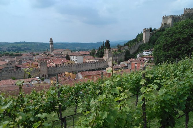 Amarone & Soave Wine Tour with Sommelier – Visit Verona - Getting From Venice: Comfortable Private Transport That Removes Real Stress
