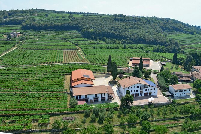 Amarone-Valpolicella tour. Visit Verona. From Venice - Logistics That Matter More Than You Think