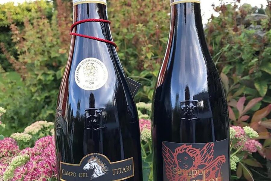 Amarone Wine Tasting Tour. Visit Verona. From Venice - Key highlights worth planning for