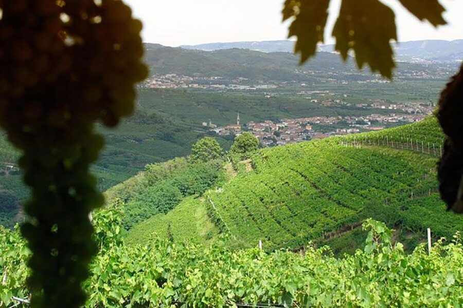 Amarone Wine Tasting Tour. Visit Verona. From Venice - The wine tasting that actually teaches: Amarone, Recioto, and the 4 pours
