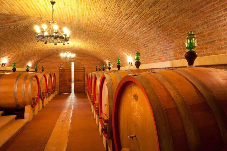 Amarone Wine Tasting Tour. Visit Verona. From Venice - Price and value: what $220 buys you, and where the money goes
