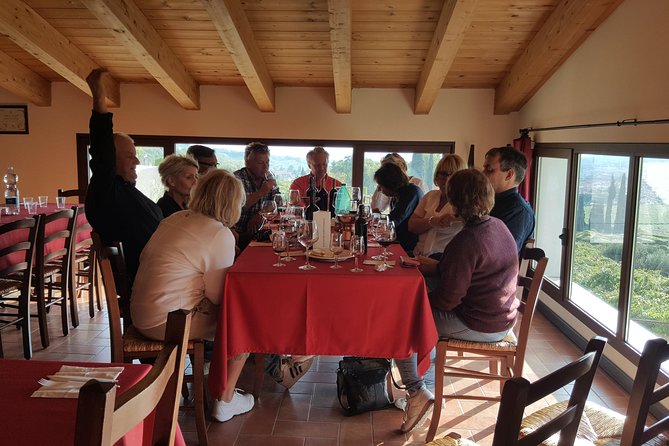 Amarone Wine Tour (all-inclusive full day with lunch and expert wine guide) - Who Should Book This Amarone Wine Tour?