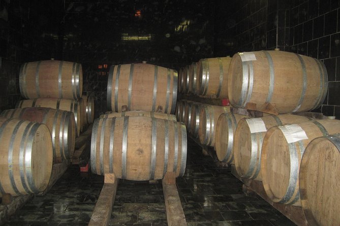 Amarone Wine Tour (all-inclusive full day with lunch and expert wine guide) - Should You Book It?