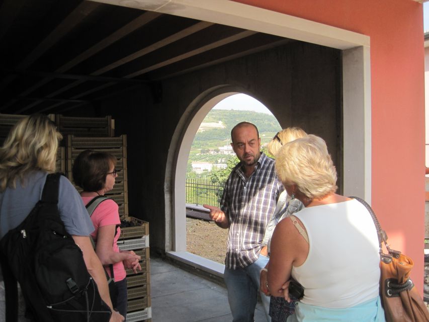 Amarone Wine Tour & Tasting from Venice, Padua or Verona - Should you book this Amarone Wine Tour from Venice, Padua, or Verona?