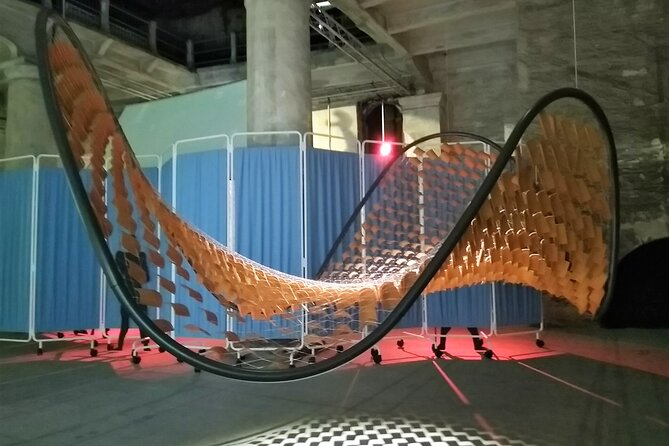 Biennale of Venice 2026, visit with private guide - What You’ll Do During the 2.5-Hour Guided Walk