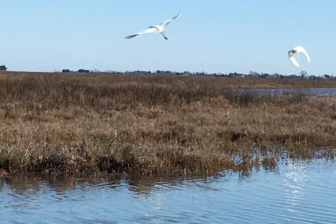 Burano Kayak Eco-Tour Through the Venetian Lagoon - Why this lagoon kayak tour feels like a different Venice