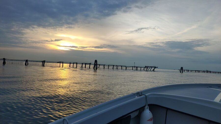 Chioggia: discover aquaculture techniques in a typical boat - Key things to know before you go