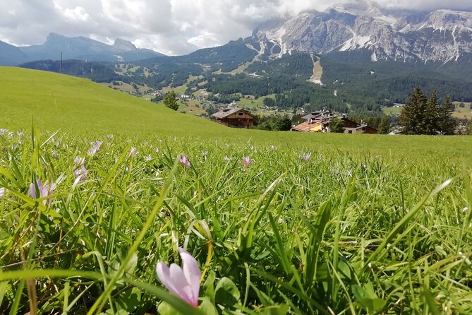 Discover the Dolomites, Cortina and Lake Braies from Venice - Lake Misurina: fast photos, big symbolism