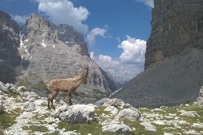 Dolomites Hiking tour - A Dolomites Day Trip That Starts in Venice (7:00 am, Piazzale Roma)