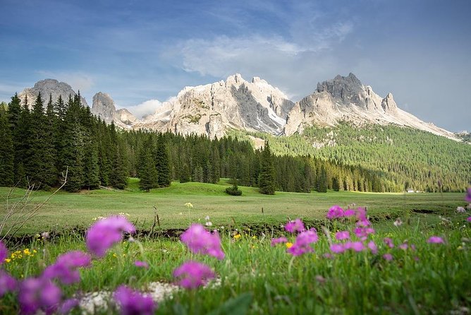 Dolomites Private Tour from Venice - Meeting Point and Pickup: Getting Out of Venice Without Stress