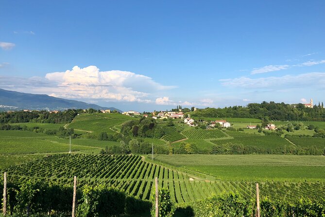 Food and Wine Tour on the Prosecco Hills from Venice - Where the tastings and snacks actually hit: wineries, agriturismo lunch, and grappa