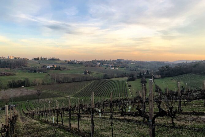 Food and Wine Tour on the Prosecco Hills from Venice - Valdobbiadene: top-of-the-hills views that make DOCG feel real