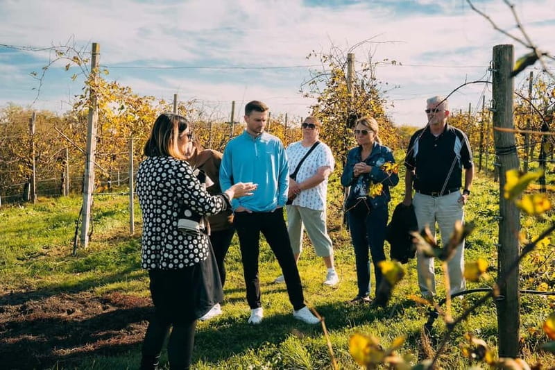 From Venice: Prosecco Hills and Wine Tasting Tour - From Venice to the Prosecco zone, without the stress