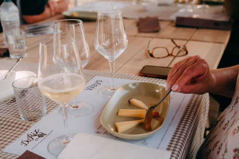 From Venice: Prosecco Hills and Wine Tasting Tour - UNESCO Prosecco land and what you are seeing