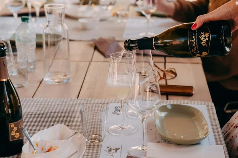 From Venice: Prosecco Hills and Wine Tasting Tour - Getting to and from Piazzale Roma: simple, central, and efficient