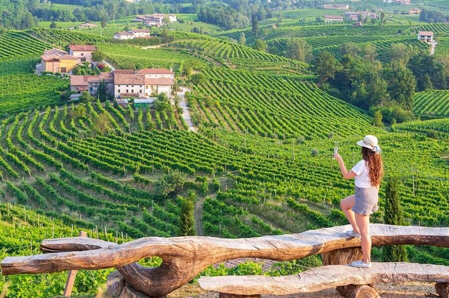 From Venice: Wine and Food tour in the Prosecco Hills - Key Things That Make This Tour Worth It