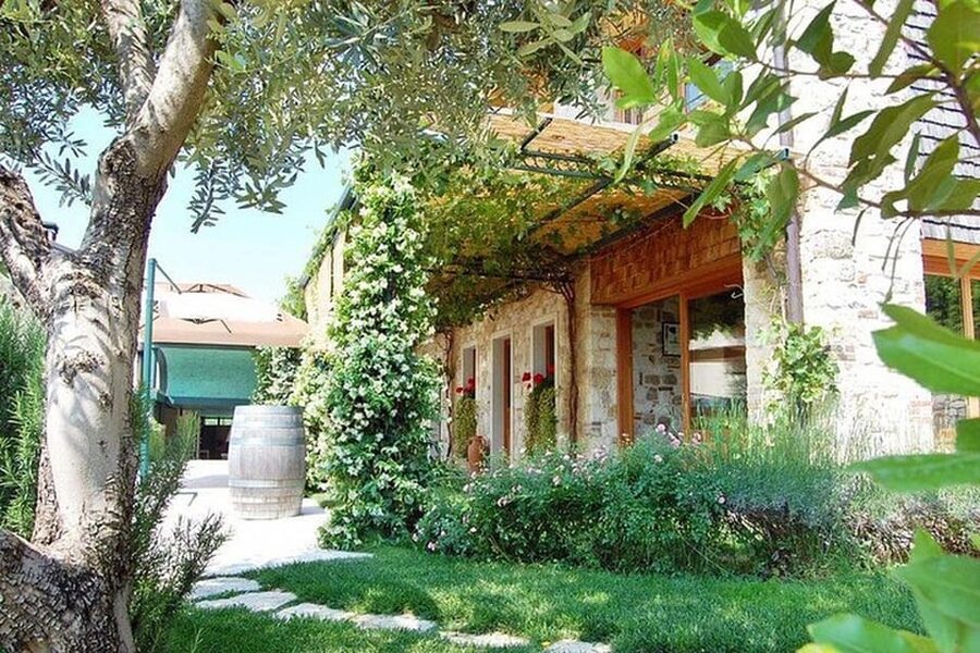 From Venice: Wine and Food tour in the Prosecco Hills - The Prosecco Hills Feel Like a “Real Place,” Not a Set