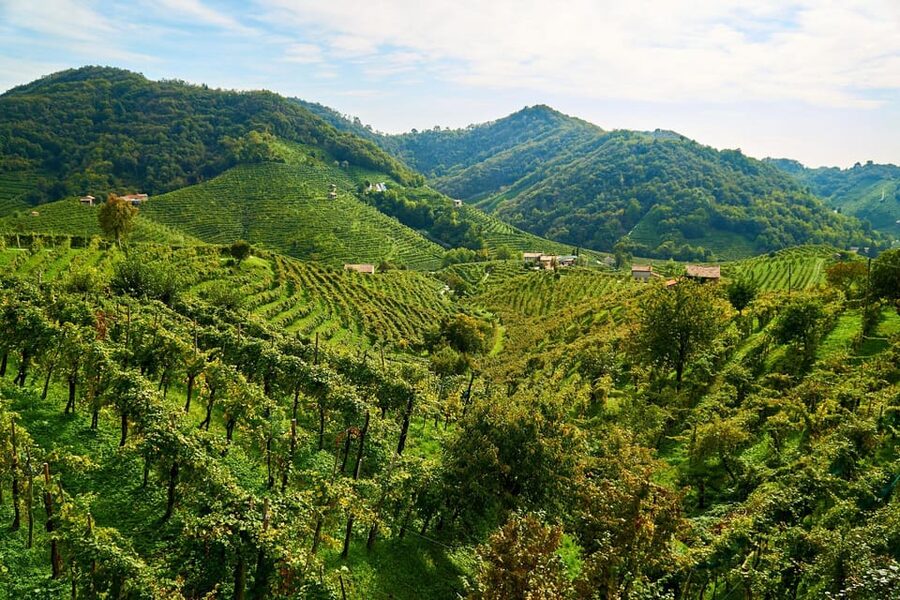 From Venice: Wine and Food tour in the Prosecco Hills - Farra di Soligo Winery Visit: Meet the Owner, Then Taste