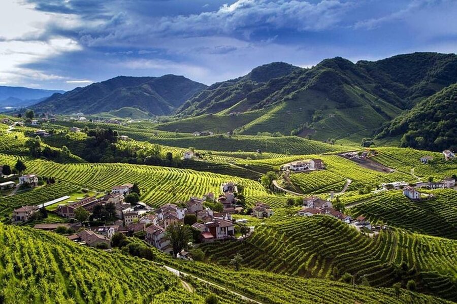 From Venice: Wine and Food tour in the Prosecco Hills - Local Snacks and Cheese Pairing: Why It Works