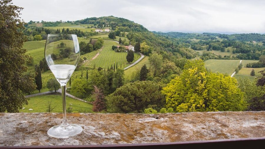 From Venice: Wine and Food tour in the Prosecco Hills - Prosecco DOC vs DOCG: The Taste Test You Will Remember
