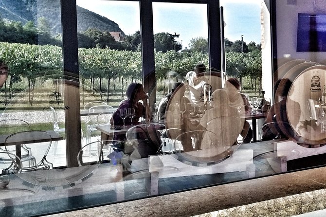 From Venice: Wine Tour in the Euganean Hills - From Venice to the Euganean Hills: the logistics that make it work