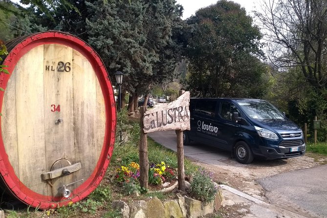 From Venice: Wine Tour in the Euganean Hills - Why visiting two estates makes the whole thing better