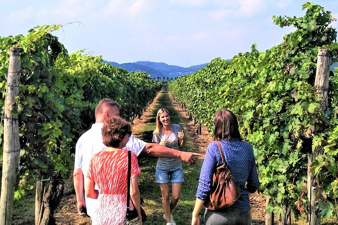 From Venice: Wine Tour in the Euganean Hills - Tastings that feel fun, not rushed