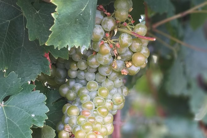 Full day Private Prosecco Tour, with certified Sommelier - Lunch plans when lunch is not included