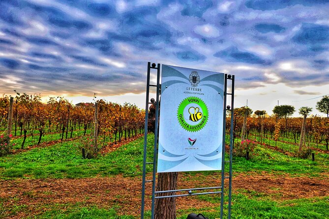 Full day Private Prosecco Tour, with certified Sommelier - Returning to Venice: where you end the day
