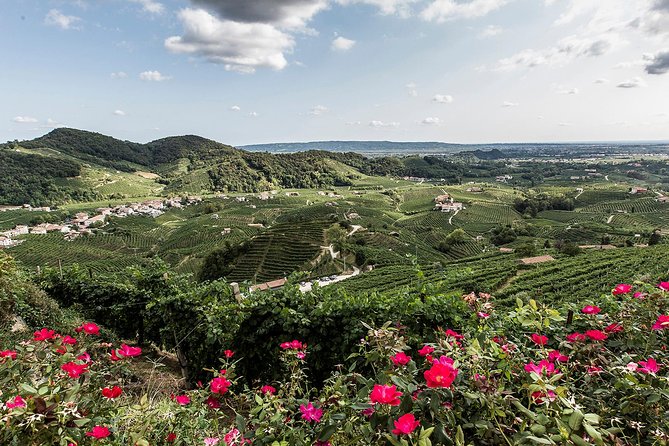 Full day Private Prosecco Tour, with certified Sommelier - Who should book this Prosecco tour?