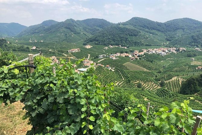Full Day Prosecco and Cheese Tasting from Venice - Key Highlights You Should Not Miss