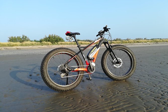 Full Day Venice E-Bike Rental - Key Takeaways Before You Pedal Away