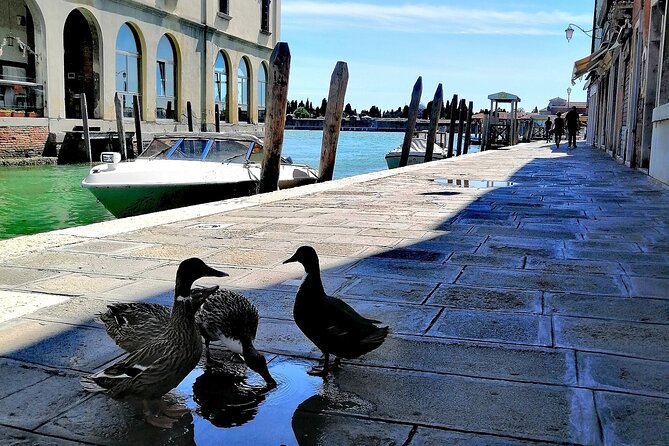 Island Hopping Tour: Mazzorbo, Burano and Murano - Mazzorbo: quiet gardens, vineyards, and a monastery on an island of fewer than 300