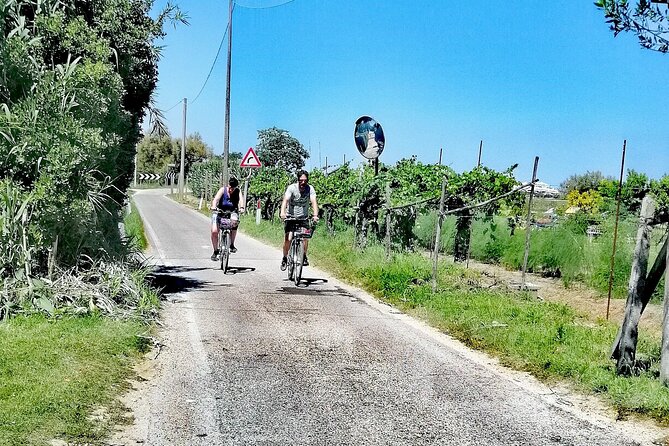 Lio Piccolo: Flamingos & Birdwatching Bike Tour in the Lagoon - Who this tour fits best, and who should choose something else