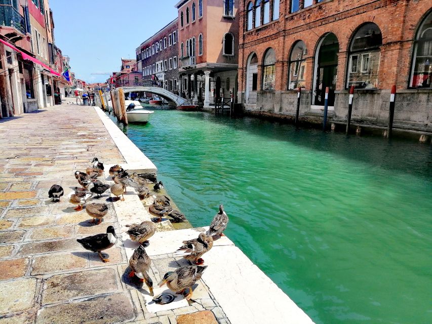 Murano: Glass Lampwork Workshop and Walking Tour - Who should book this Murano glass tour