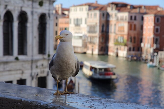Photography workshop in the magical Venice (3h) - Timing, Group Size, and Why the Session Feels Personal