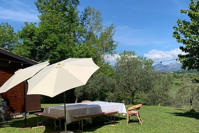 Premium Private Prosecco Hills Tour - 2 Wineries. Private tour. - Stop 2 Family Cantina in Farra di Soligo, the More Technical Tasting